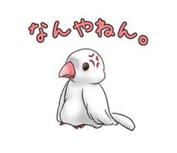 Java sparrow which uses dialect of Osaka sticker #7233495