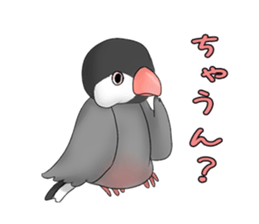 Java sparrow which uses dialect of Osaka sticker #7233496