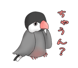 Java sparrow which uses dialect of Osaka sticker #7233496