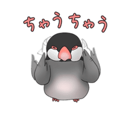 Java sparrow which uses dialect of Osaka sticker #7233497