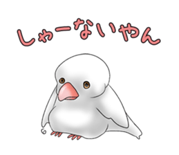Java sparrow which uses dialect of Osaka sticker #7233499