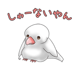 Java sparrow which uses dialect of Osaka sticker #7233499
