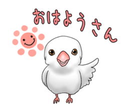 Java sparrow which uses dialect of Osaka sticker #7233500