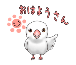 Java sparrow which uses dialect of Osaka sticker #7233500