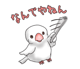 Java sparrow which uses dialect of Osaka sticker #7233501