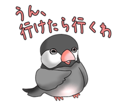 Java sparrow which uses dialect of Osaka sticker #7233502