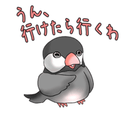 Java sparrow which uses dialect of Osaka sticker #7233502