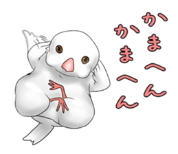 Java sparrow which uses dialect of Osaka sticker #7233504