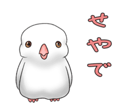Java sparrow which uses dialect of Osaka sticker #7233505