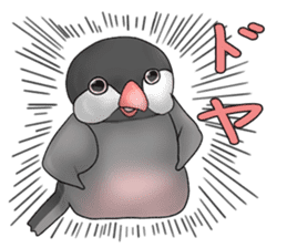 Java sparrow which uses dialect of Osaka sticker #7233507
