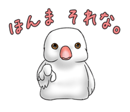 Java sparrow which uses dialect of Osaka sticker #7233509