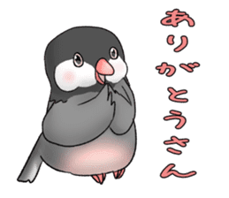 Java sparrow which uses dialect of Osaka sticker #7233510