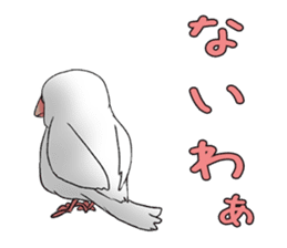 Java sparrow which uses dialect of Osaka sticker #7233512