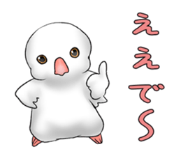 Java sparrow which uses dialect of Osaka sticker #7233513