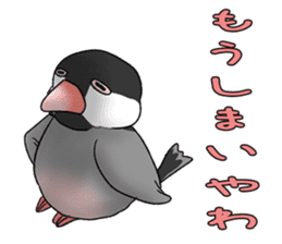Java sparrow which uses dialect of Osaka sticker #7233521