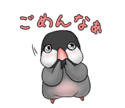 Java sparrow which uses dialect of Osaka sticker #7233522
