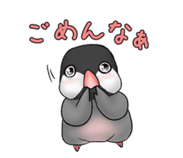 Java sparrow which uses dialect of Osaka sticker #7233522