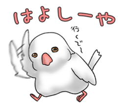 Java sparrow which uses dialect of Osaka sticker #7233527