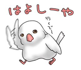 Java sparrow which uses dialect of Osaka sticker #7233527