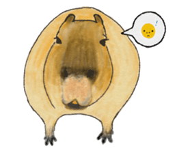 Sweet Capybara sticker #7234971