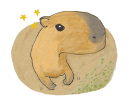 Sweet Capybara sticker #7234976