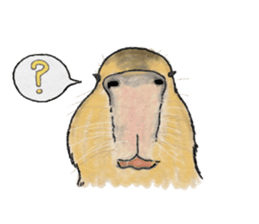Sweet Capybara sticker #7234977