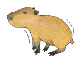 Sweet Capybara sticker #7234983