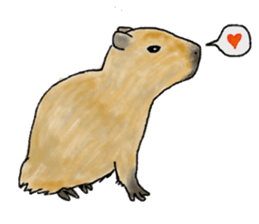 Sweet Capybara sticker #7234985