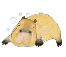 Sweet Capybara sticker #7234987