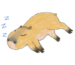 Sweet Capybara sticker #7234989