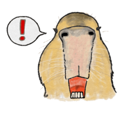Sweet Capybara sticker #7234994