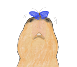 Sweet Capybara sticker #7235002