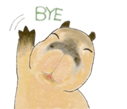 Sweet Capybara sticker #7235007