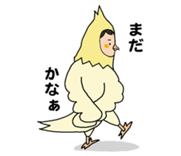 All you need is Cockatiel. sticker #7235903