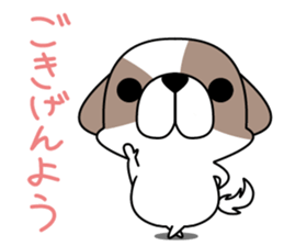Shih Tzu's2 sticker #7237808