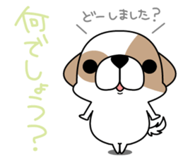 Shih Tzu's2 sticker #7237809