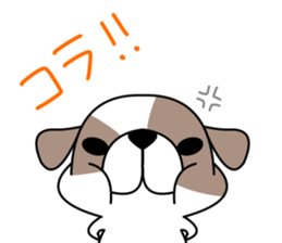 Shih Tzu's2 sticker #7237817