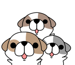 Shih Tzu's2 sticker #7237824