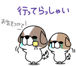 Shih Tzu's2 sticker #7237828