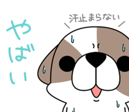 Shih Tzu's2 sticker #7237829