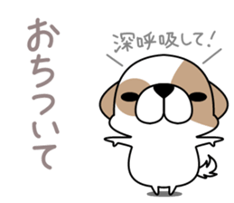 Shih Tzu's2 sticker #7237830