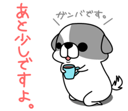 Shih Tzu's2 sticker #7237840