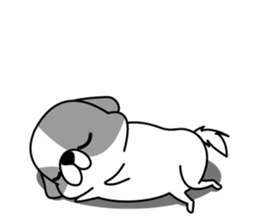 Shih Tzu's2 sticker #7237843