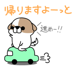 Shih Tzu's2 sticker #7237845