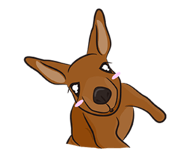 11 kinds of animals sticker #7238603