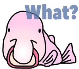 BlobFish!! sticker #7240932