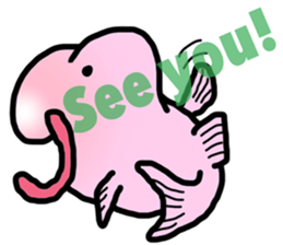 BlobFish!! sticker #7240935