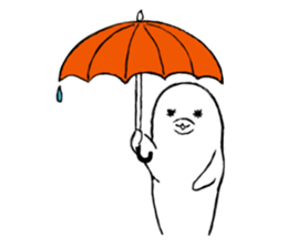 My dolphin wife sticker #7241655