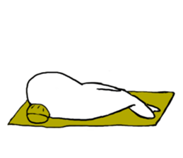 My dolphin wife sticker #7241678