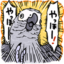 Cockatiel and Grey Parrot sticker #7242172